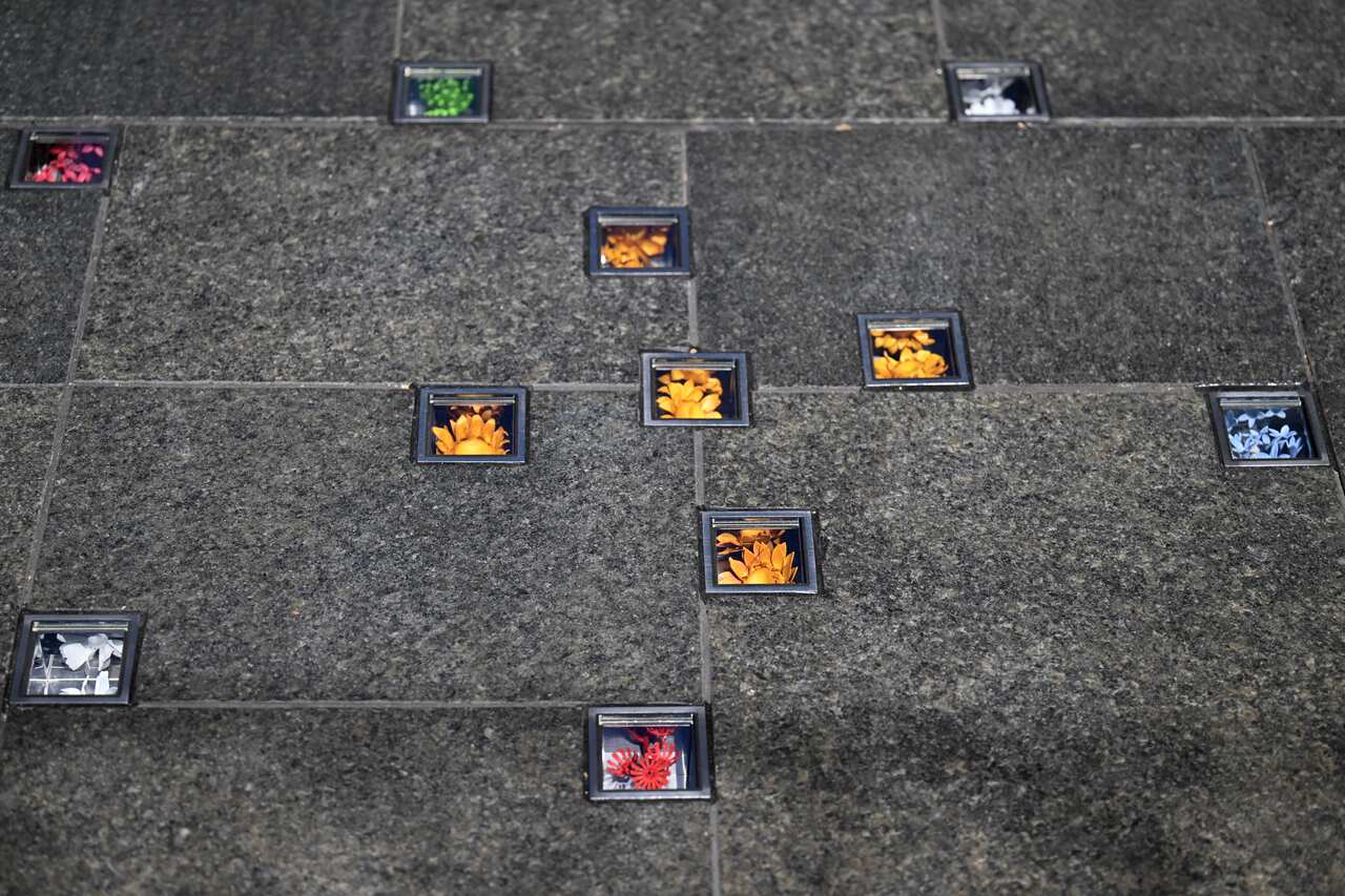 Small colourful flowers installed between paving tiles behind glass panes