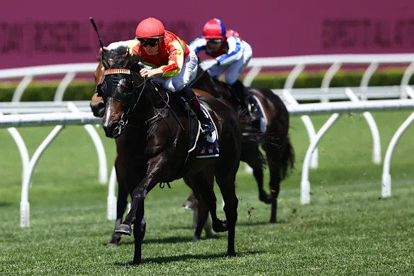 Dylan Gibbons on Oceanfront.