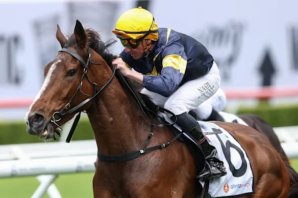 Nash Rawiller wins on Carbonados.