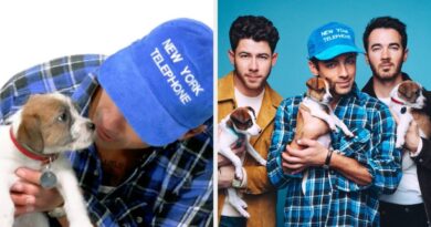 The Jonas Brothers Puppy Interview