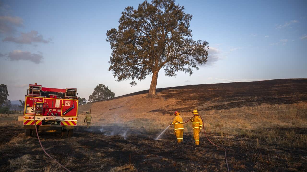 Raging bushfires devestate Victorian communities