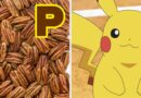 Build A Meal Using Only P-Foods And We'll Guess Your Perfect Pokémon Partner!
