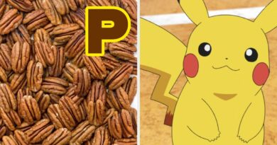 Build A Meal Using Only P-Foods And We'll Guess Your Perfect Pokémon Partner!