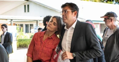 Australia ill-quipped to handle domestic interference, says Labor MP