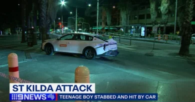 Melbourne teenager stabbed and struck by car