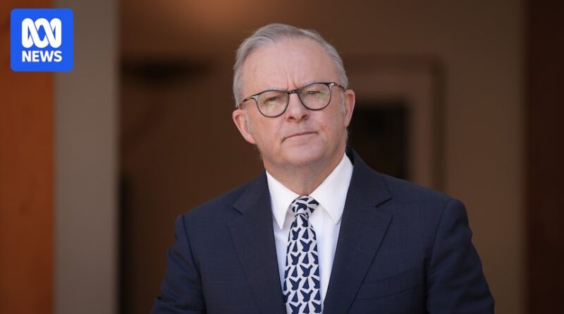 Albanese’s week unravelled by one-word description of Grace Tame