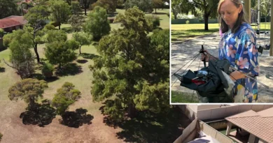 Trains and traffic brought to a crawl as summer storm sweeps through city Trains and traffic brought to a crawl as summer storm sweeps through city