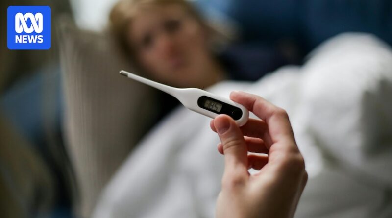 Most flu deaths this century were recorded in 2025, ABS finds