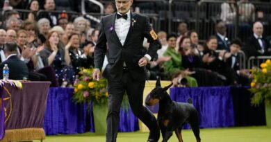 Doberman pinscher named Penny wins best in show at the 150th annual Westminster Kennel Club Dog Show