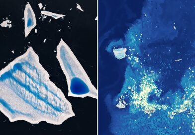 Ailing “Megaberg” Sparks Surge of Microscopic Life
