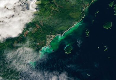 Satellite Spots a Spawn – NASA Science