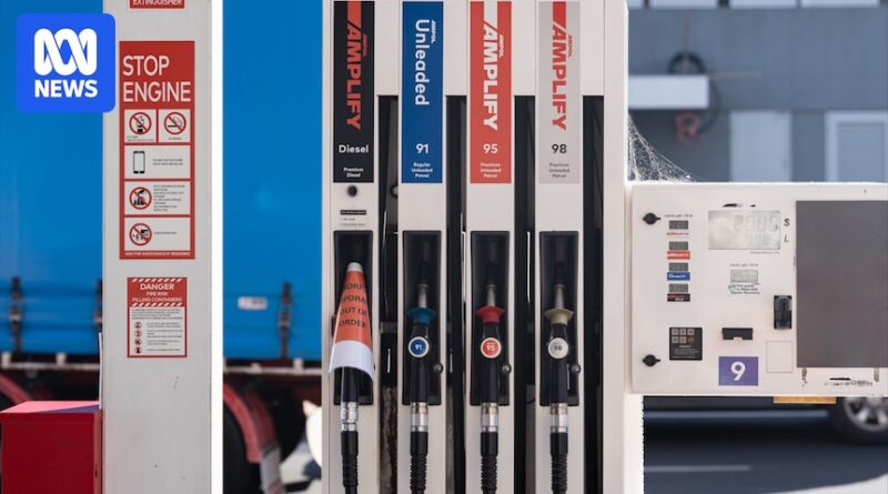 Economists warn cutting fuel excise could keep inflation higher for longer