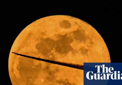Red alert: the best photos of the rare blood moon total lunar eclipse – in pictures | Environment