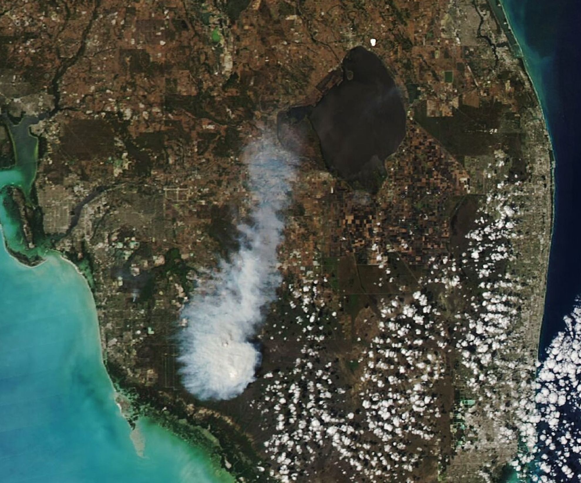 A satellite image of southern Florida shows white-gray smoke east of the coastal city of Naples. Winds carry the plume northward toward Lake Okeechobee.