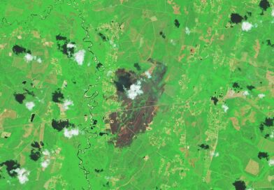 Fires Rage in Georgia – NASA Science