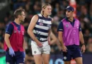 Port Adelaide Power vs Geelong Cats LIVE: AFL round seven 2026, scores, results, odds, stats and start time from the Adelaide Oval, Anzac Day