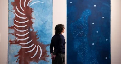 QAGOMA: Brisbane’s Rising Voices art collection makes history at London’s Victoria & Albert Museum QAGOMA: Brisbane’s Rising Voices art collection makes history at London’s Victoria & Albert Museum