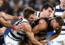 Carlton vs Geelong Cats LIVE: AFL round 12 2026, scores, results, odds, stats and start time from the MCG
