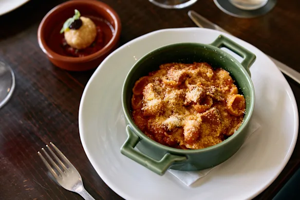 Beef rib and tomato ragu orecchiette.