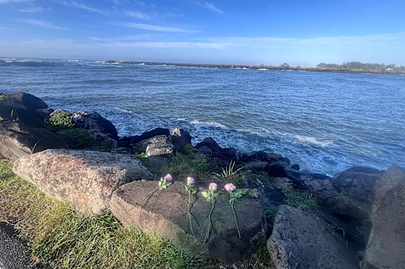 Tributes at the Ballina breakwall after yacht sailor Matthew Clayton and two volunteer rescuers, Bill Ewen and Frank Petsch, died.