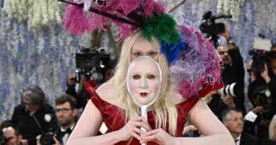 Photos show stars embracing art-inspired fashion at the 2026 Met Gala