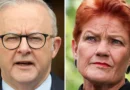 One Nation popularity surge: Anthony Albanese addresses rise in populism as Labor faces polling pressure