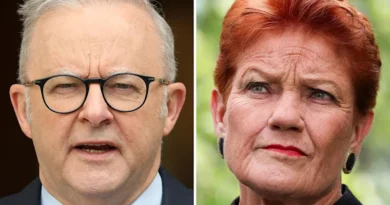 One Nation popularity surge: Anthony Albanese addresses rise in populism as Labor faces polling pressure One Nation popularity surge: Anthony Albanese addresses rise in populism as Labor faces polling pressure