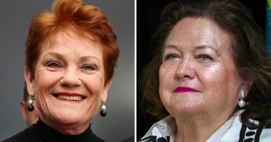 Pauline Hanson fundraising: One Nation raises over $600,000 in eight hours after launching “Fire the Liar” campaign Pauline Hanson fundraising: One Nation raises over $600,000 in eight hours after launching “Fire the Liar” campaign