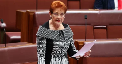 Hanson blasts critics of her vision for a 'monoculture' Australia