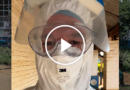 What I Saw Inside an Ebola Ward