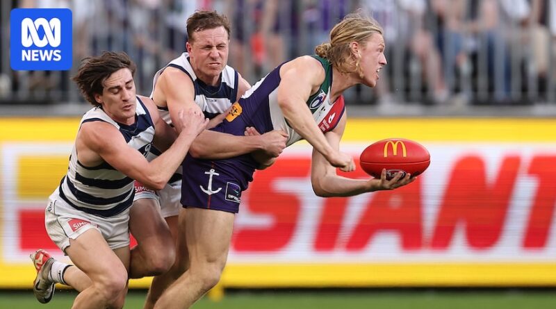 AFL Rd 15 live updates: Fremantle vs Geelong at Perth Stadium – blog, scores and stats