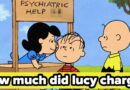 Charlie Brown And Snoopy Peanuts Retro Trivia Quiz