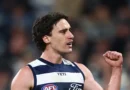 Geelong Cats vs St Kilda LIVE: AFL round 19 2026, scores, results, odds, stats and start time from GMHBA Stadium