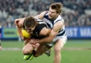 Collingwood vs Geelong Cats LIVE: AFL round 21 2026, scores, results, odds, stats and start time from the MCG