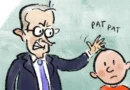 Best of cartoons, July 7, 2026