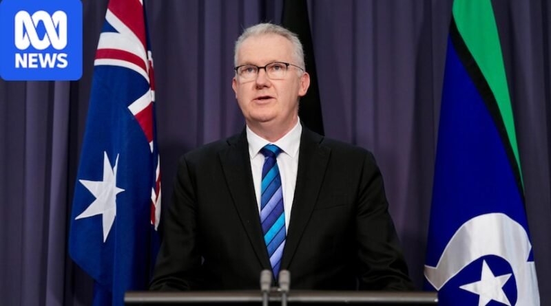 Tony Burke delays National Press Club speech expected to reveal migration cuts