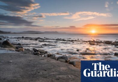 Block export of ‘national treasure’ UK fossils, says MP | Fossils