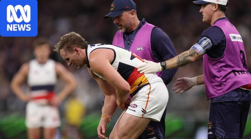 AFL round 23: Fremantle vs Adelaide live updates — blog, scores and stats