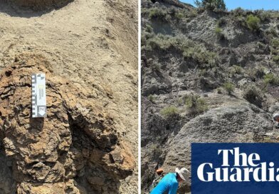 One giant step: first known adult T rex footprints found in North Dakota | North Dakota