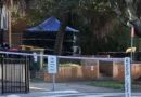 Auburn: mother of newborn baby dumped in Sydney rubbish bin found by police