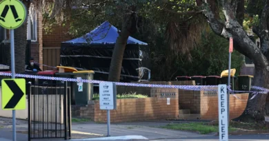Auburn: mother of newborn baby dumped in Sydney rubbish bin found by police Auburn: mother of newborn baby dumped in Sydney rubbish bin found by police