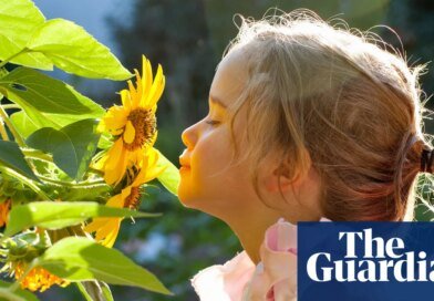 Smelling test: children need education in sniffing aromas, scientist says | Science