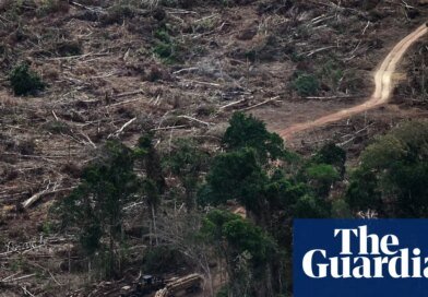 ‘Planetary boundaries’ necessary for flourishing of life have been massively breached, scientists warn | Climate crisis