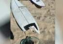 Hero surfer risked life to save shark attack victim