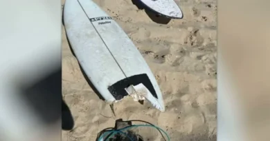 Hero surfer risked life to save shark attack victim