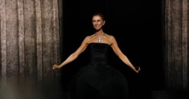Celine Dion completes her first full concert in 6 years after overcoming rare illness
