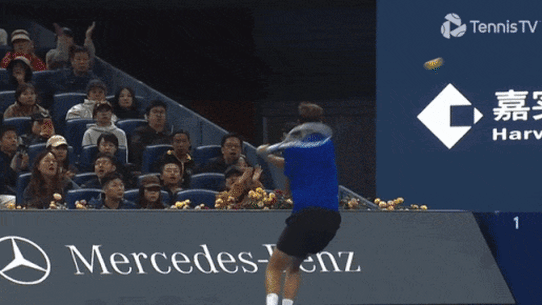 Medvedev disqualified for hitting fan with ball GIF