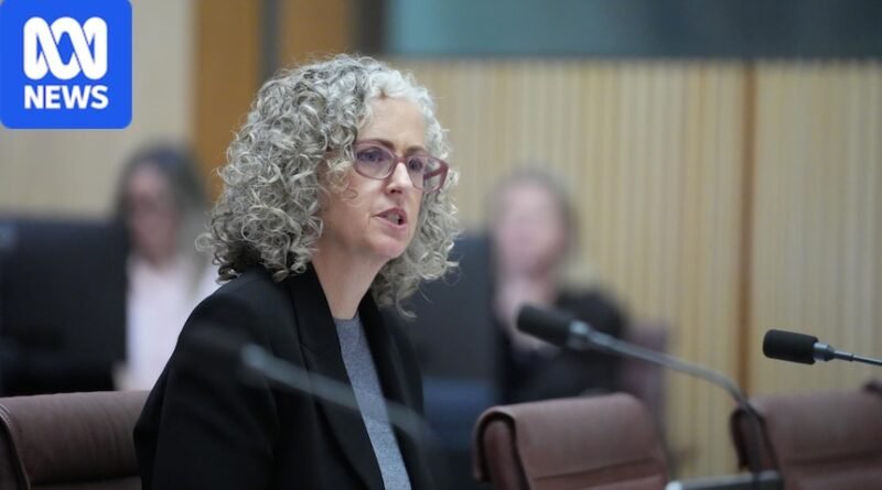 Child care sector faces further changes after shocking abuse exposed by Four Corners