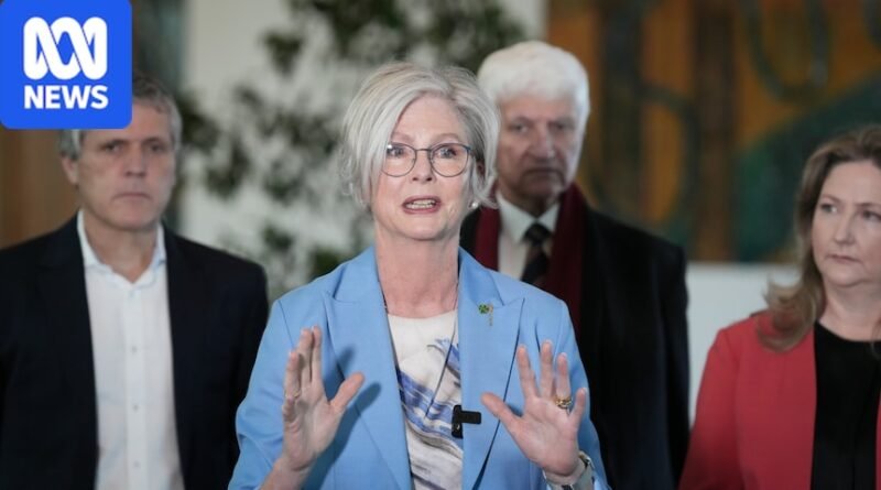 After Helen Haines ‘attack’ in the street, Australian democracy is facing its biggest test