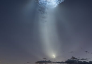 NASA’s Space X CRS-35 Launch Jellyfish